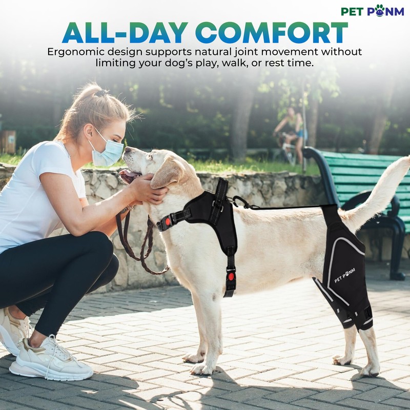 Petpanm- Adjustable Dog Knee Brace- Right Hind Leg with Integreted