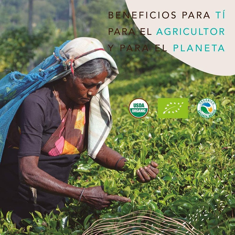 Té Matcha Orgánico en Sticks, 15 Sticks, Mayan Sweet