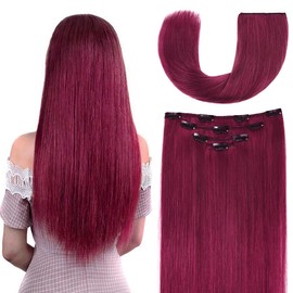 16" Clip in Hair Extensions Remy Human Hair for Women - Silky Straight Burgundy Real Hair Extensions Clip ins 63grams 4pieces (16inches, #Burgundy)