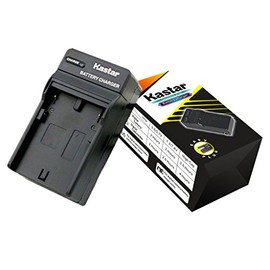Kastar Travel Charger for FS10 FS11 FS100 FS21 FS22 FS200 FS31 FS300 VIXIA HF10 HF11 HF100 HF20 HF200 HF S10 S100 S20 S21 S200 HG20 HG21 HG30 G10 M30 M31 M300 M30 M31 M32 M40 M41 M400 XA10 CG-800