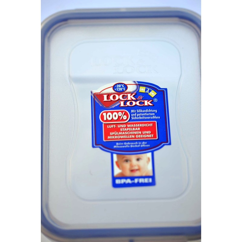 Geocaching Hideaway Lock & Lock Container Regular with 2 x