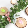 Easter Garland, 6 FT Artificial Green Leaf Vine with Pink