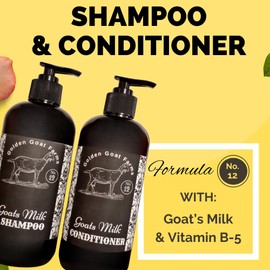 Golden Goat Farms Honey & Apricot Scented Shampoo and Conditioner Set with Goat Milk, 16 Oz