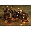 for 35ct Count Teeny Tiny Rice Light Set String Brown Wire Cord Primitive Craft 10' Seasonal Ornaments Home Décor