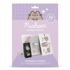 Grupo Erik Pusheen Reusable Stickers