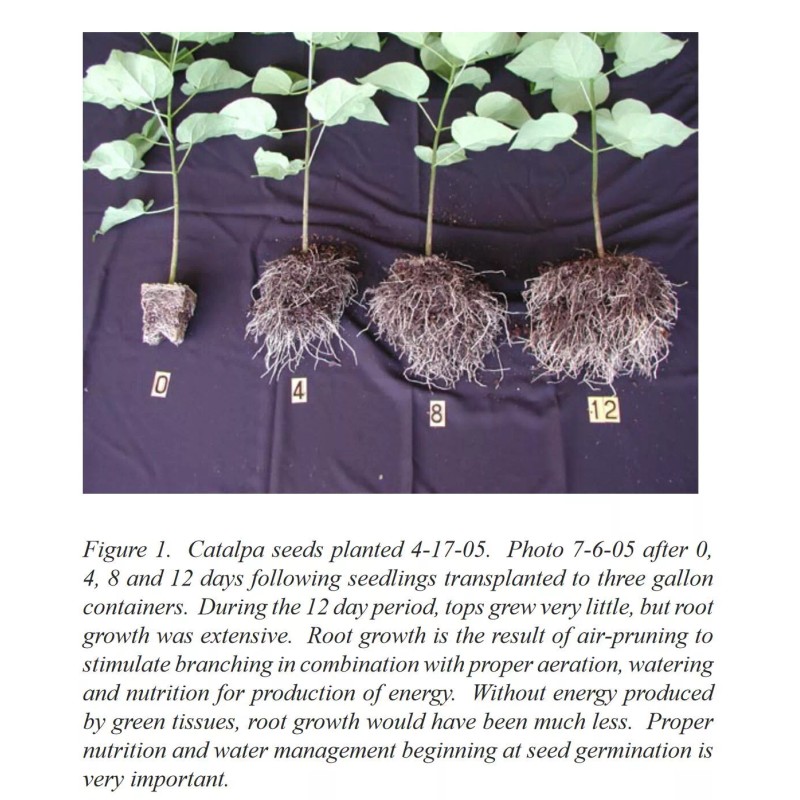 Rootmaker (20) RootMaker - 3 Qrt - Knit Fabric 5"