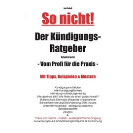 So nicht! Der Kündigungs-Ratgeber Arbeitsrecht: Vom Profi für die Praxis