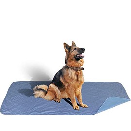 Careoutfit 36 x 72 - XXL Big Size Premium Stain Resistant Quick Absorbent Waterproof Reusable/Quilted Washable Large Dog/Puppy Training Travel Pee Pads