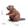 2-Piece Realistic Beaver Figurines - Canada's National Animal, Solid Core,