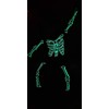 HahaNice Boys Kids Glow In The Dark Skeleton Pajamas 2-7