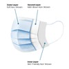 PARASOL Disposable Medical Face Mask, Adult 3 Ply, 10 Count/Pack