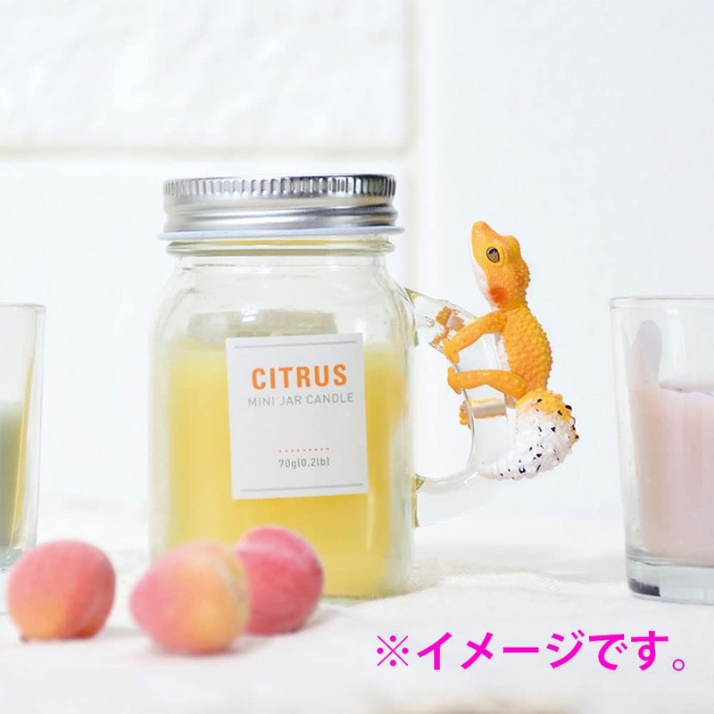 Hug Anywhere! Leopard Charm, Box of 1