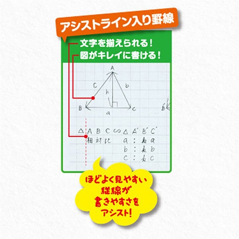 Maruman L1241 B5 Loose Leaf Assist Line, 0.2 inches (6