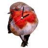 Robin Wall Clock