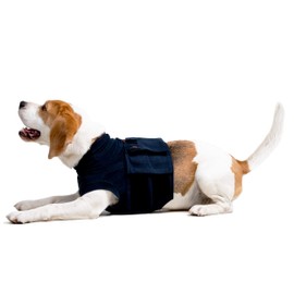 MPS Medical Pet Shirt - TOP, Top Body Shirt for Dogs, XX-Small