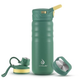IDEUS Vacuum Insulated Water Bottle, 18 Oz (540 ml) Stainless Steel Double Wall Flask Metal Sports Canteen with Leak-Proof Screw Cap (Green)