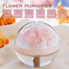Preserved Flower Portable Humidifier,270ml Capacity,Rechargeable Essential Oil Diffuser with Night