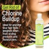 Clarifying Shampoo Sulfate-Free Detox for Natural Hair 12oz 4-Pack