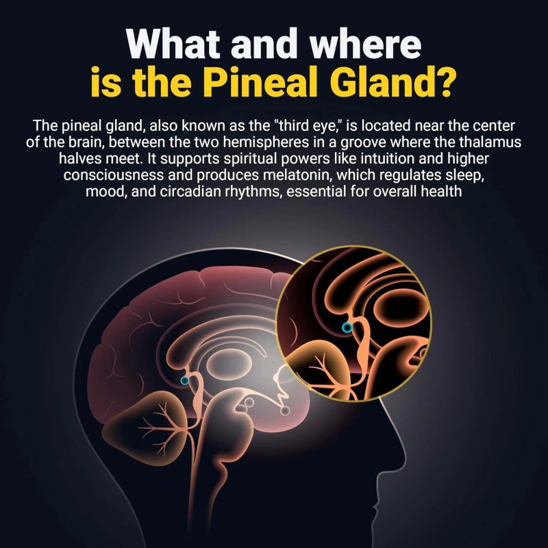 Kailash Herbals Pineal Gland Activation Supplement - Supports Decalcificatio
