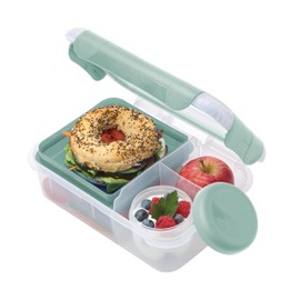 Smash Bento Lunch Box, Fern Green, 1.6 Liter Capacity
