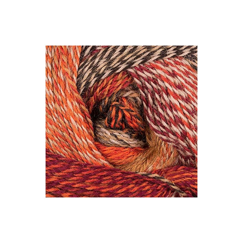 Skacel Zauberball Crazy Color 2092