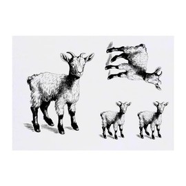 Azeeda 4 x 'Ziege' Temporäre Tattoos - Wasserfest, Hautfreundlich & Ungiftig · Transfers in Verschiedenen Größen (TO00065756)