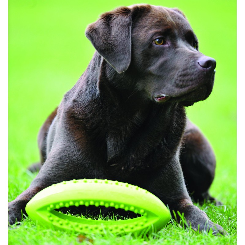 Happy Pet Grubber dog toy in rugby ball shape, jumping