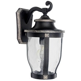 Home Decorators Collection McCarthy 1-Light Bronze Outdoor Wall Mount
