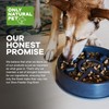 Only Natural Pet Sunup Slow-Feeder Dog Bowl - 50% Plant-Based,