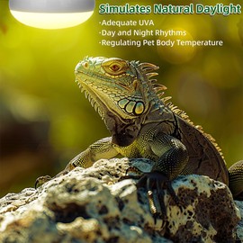 DaToo Reptile Heat Lamp 100W Amphibians Basking Light Bulb UVA Heat Lamp Bulbs Daylight Basking Spot Light for Lizards Bearded Dragon Turtles Snakes Chickens Pet Brooder (2 Pack)