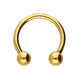 PIERCINGLINE Titanium Horseshoe Ring Piercing Ring Ear Nose Lip Choice of Colours and Sizes, Titanium