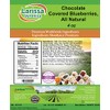 Chocolate Covered Blueberries, All Natural (4 oz, ZIN: 527010) -