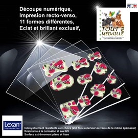 Personalised Round Fruit Dog Tag