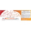 Nootropics Depot Rephyll Capsules | 250mg | 60 Count |