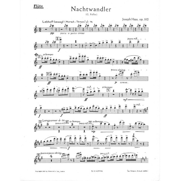 Nachtwandler: Serenade "Trommler, lass dein Kalbfell klingen". op. 102. men's