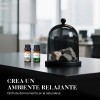 Kaisasa Kit De 12 Aceites Esenciales Aromaterapia Natural Estilo B
