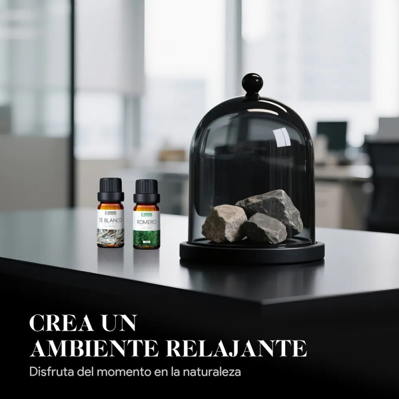 Kaisasa Kit De 12 Aceites Esenciales Aromaterapia Natural Estilo B