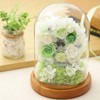 Teat Sight Preserved Flower Flower Gift Flower Present Glass Dome