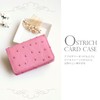 Sankyo Shokai Ostrich Leather Business Card Holder, Full Point Card
