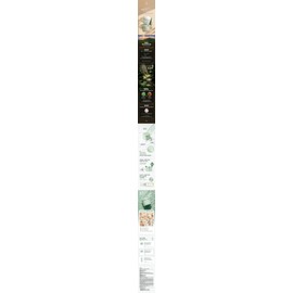 Saimdang Daim Ganghwa Mugwort Cleansing Cream 300ml + 3 Mask Packs / 사임당 다임 강화약쑥 클렌징 크림 300ml+마스크 팩 3매