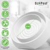 EcoPest Bed Bug Blocker (Pro)™ — 12 Pack | Interceptors,