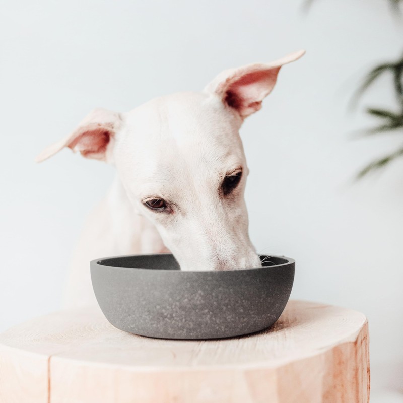 District 70 - Bamboo Dog Bowl - Dark Grey -
