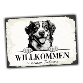 siviwonder Dog Sign Welcome Home Bernese Mountain Dog Sennen No. 2 Dog Sign Saying Door Sign Warning Sign Gift Idea Beautiful Saying Dog Motif Aluminium Weatherproof Dog Sign