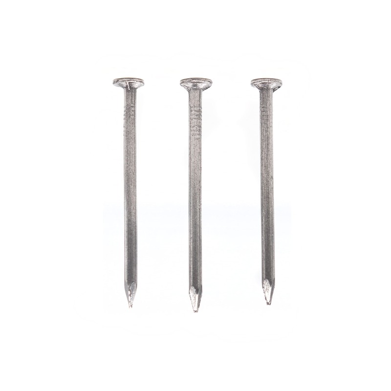 cSeao 200pcs 40mm/ 1-1/8" Length Flat Head Nails for Picture