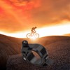 Bicycle Seatpost Clamps Aluminum Alloy 38mm Quick Release Design Foldable