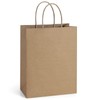 BagDream 25Pcs Brown Gift Bags 8x4.25x10.5 Kraft Paper for Gifts,