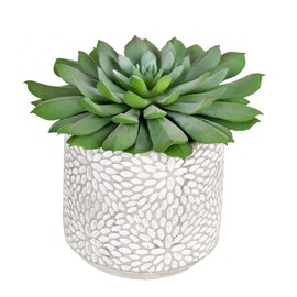 Vickerman Everyday 6" Green Potted Succulent - Faux Indoor Potted Plant - Greenery for Home Or Office Decor - Maintenance Free