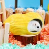 Esshogo Pet Ceramic Nest, Hamster House Made of Ceramic, Small