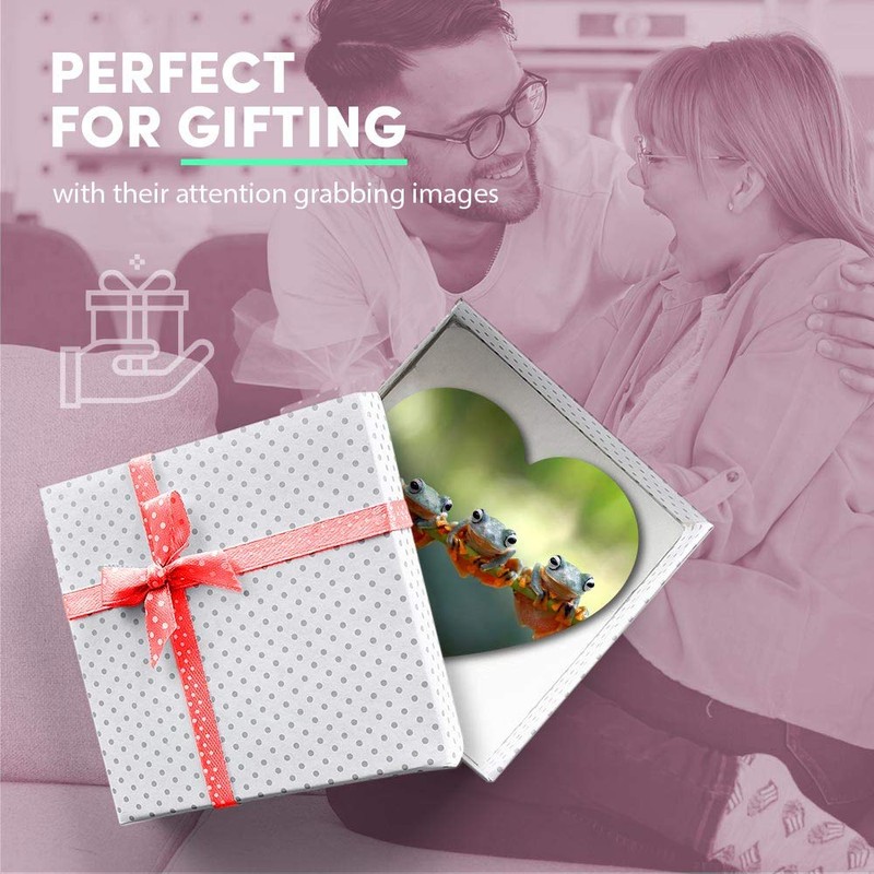 1 x Heart MDF Magnets - Tree Frogs Java Flying