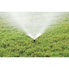 Rain Bird 1802H Professional Pop-Up Sprinkler, 180° Half Circle Pattern,